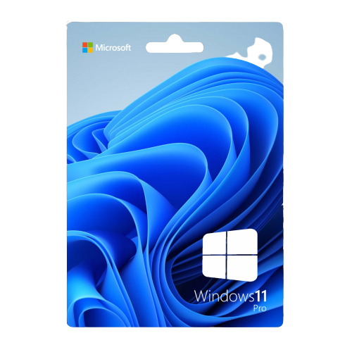 Windows 11 Pro licence